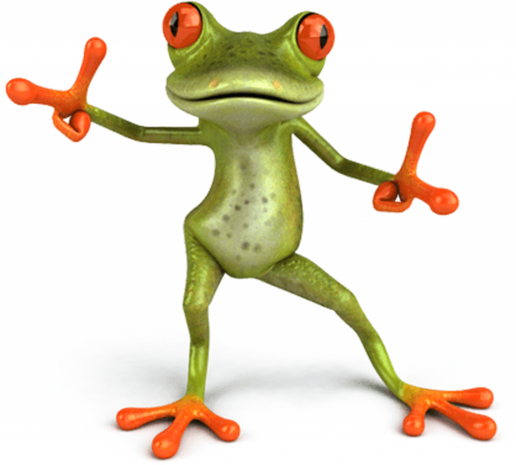 A image of frog on a white background
